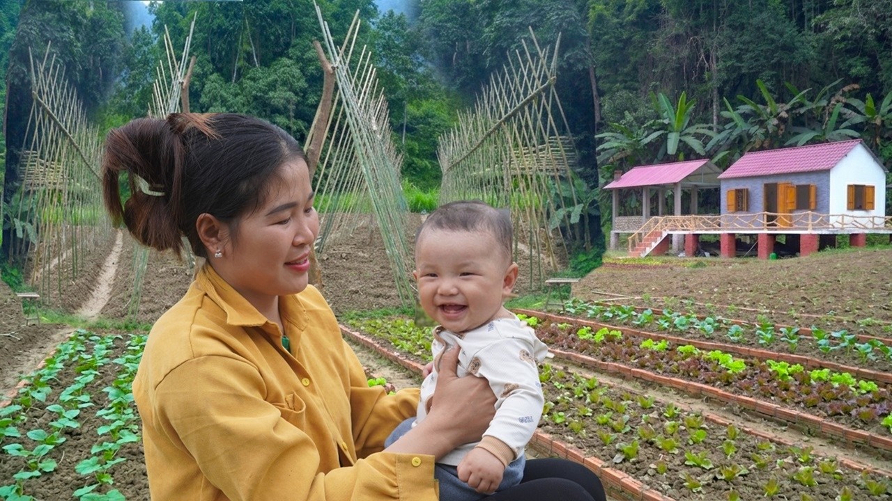 Lieu & young son built a Bamboo trellis for growing melons, Expanded farm - Constructed Chimney