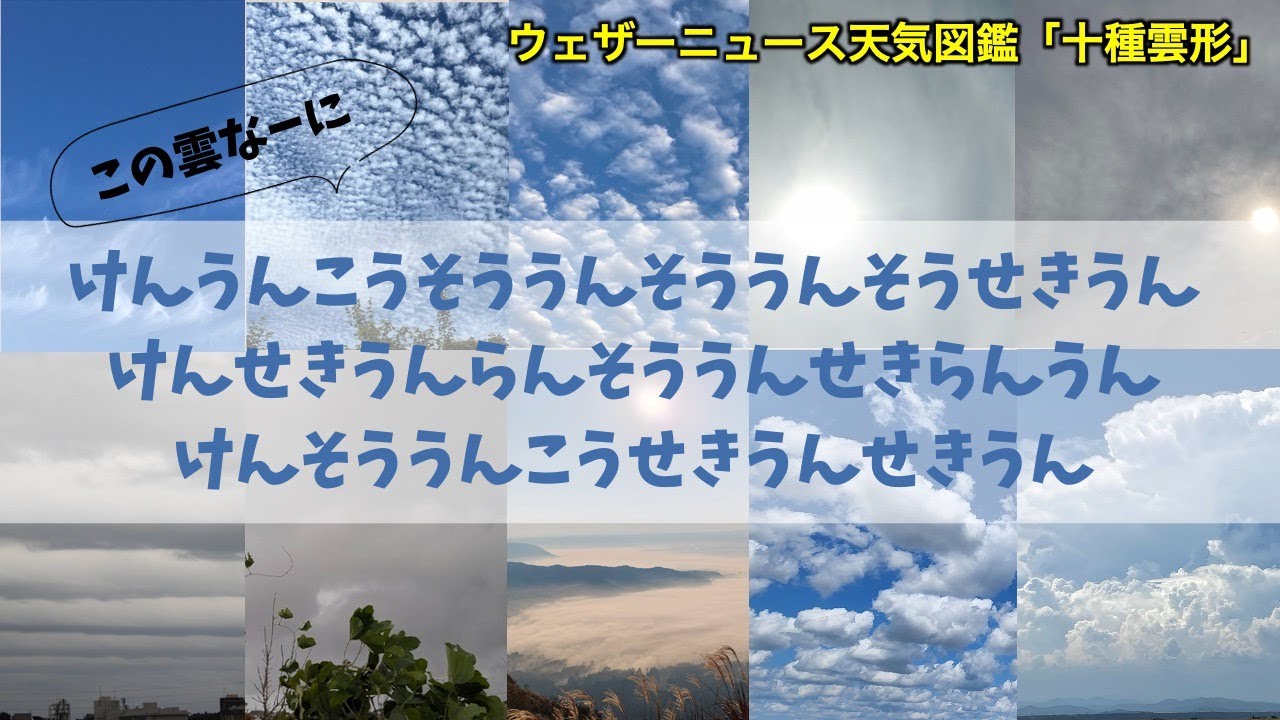 雲の種類と名前 この雲は何？ 見分け方も紹介  #ウェザーニュース天気図鑑 #十種雲形 #雲
