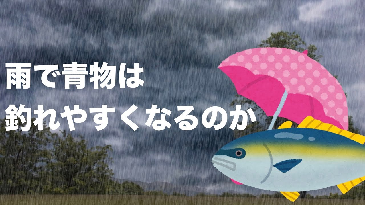 青物は雨の日だと釣れやすいのか、釣れにくいのか