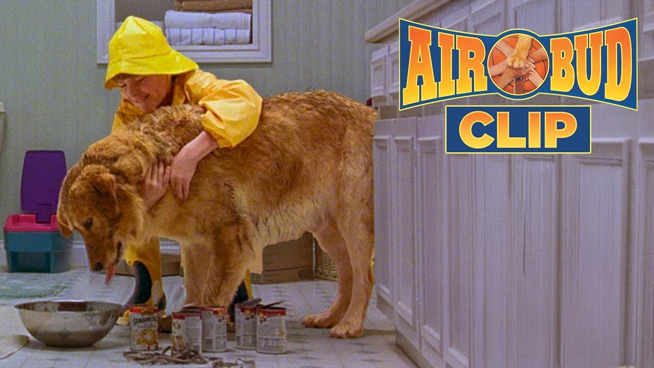 Josh Brings Buddy Home | Air Bud Clip