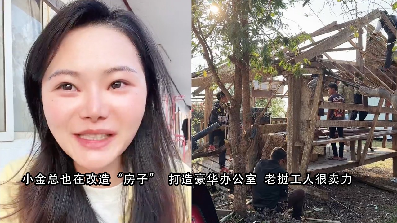 小陈的老挝媳妇儿  小金总也在改造“房子”  打造豪华办公室  老挝工人很卖力