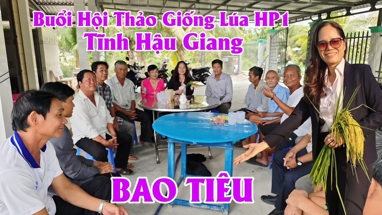 20/3 Buổi Hội Thảo Giống Lúa HP1 Tĩnh Hậu Giang Để Bao Tiêu √ lh 0919185438 