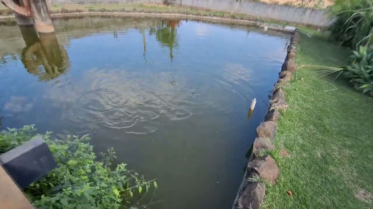 MUITO FRIO E CHUVA POR AQUI Saalada