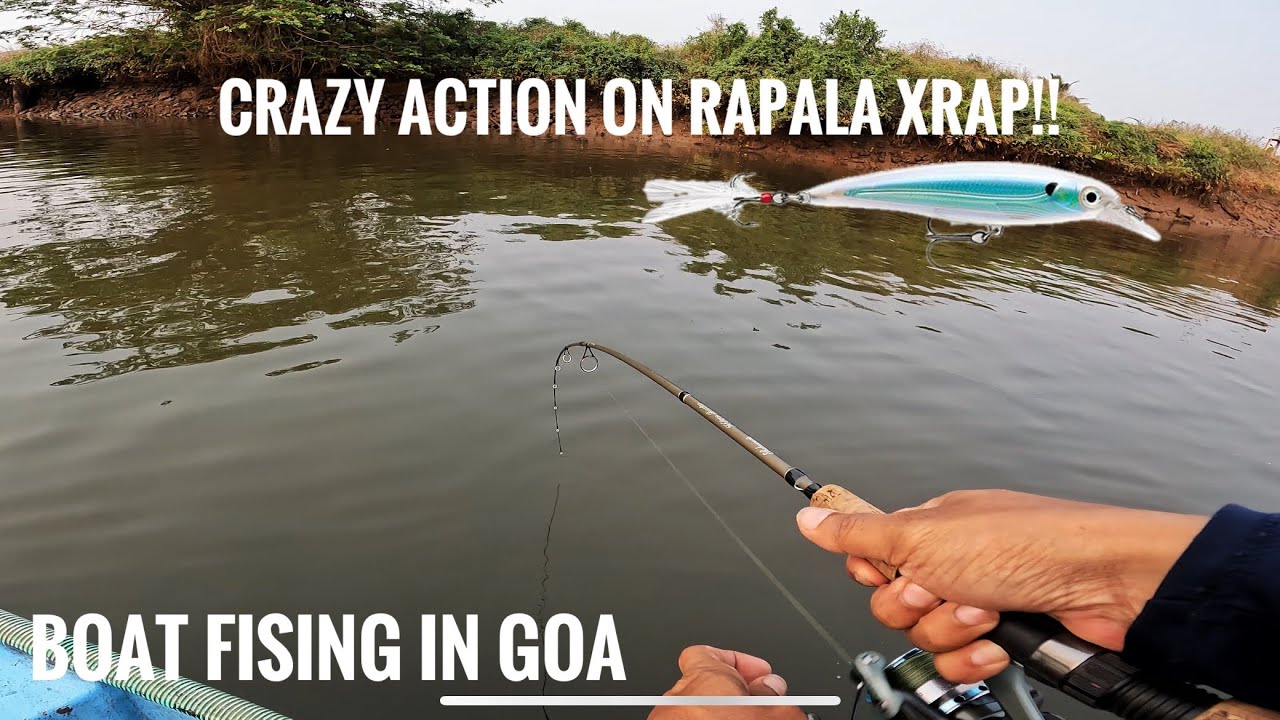 Crazy Action on Rapala X-rap | Boat Fishing in Goa