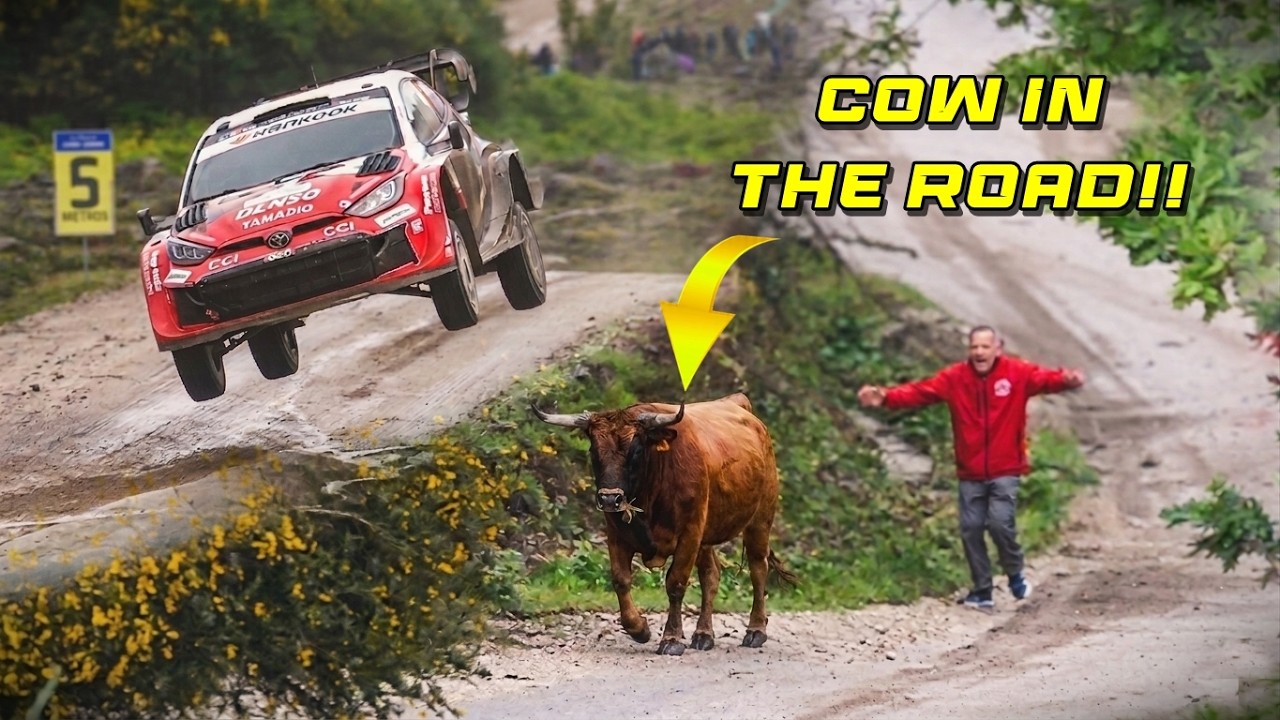 WRC Rally de Portugal 2026⚠️ BEST OF!