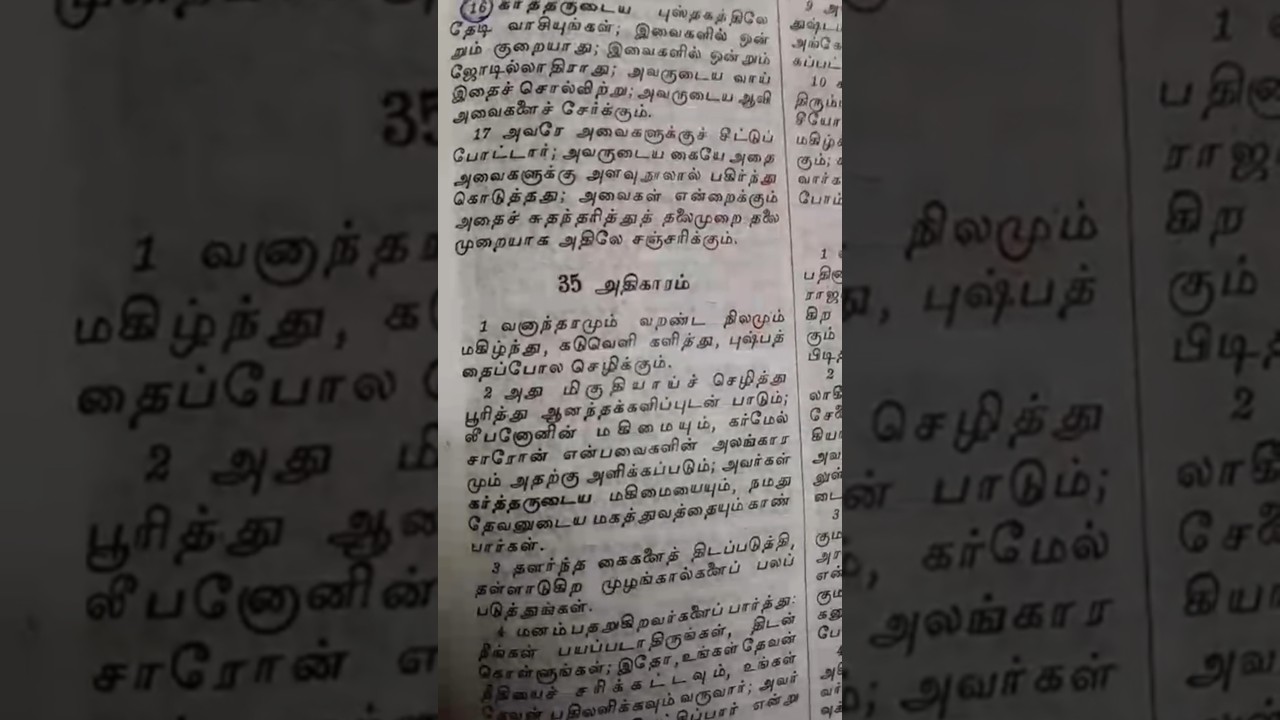 प्रतिज्ञा वचन | यशायाह 34:16 #shorts #jesus #bible #isaiah #biblestudy
