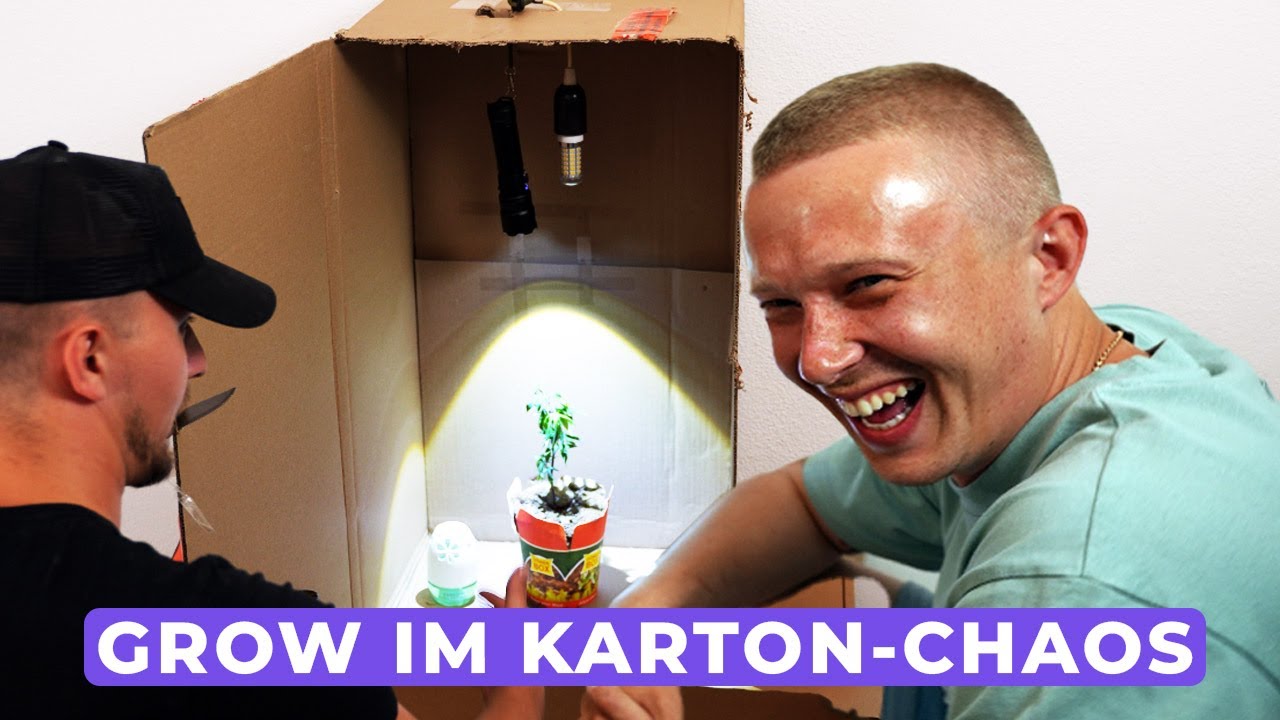 Grow-Retter: Vom Karton-Chaos zur Trop Cherry-Selektion