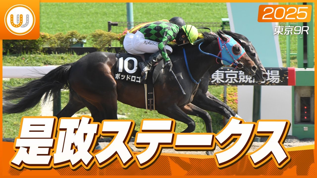 【レース映像】東京9R 是政ステークス｜アムールドパリ（横山武史）｜ウイニング競馬