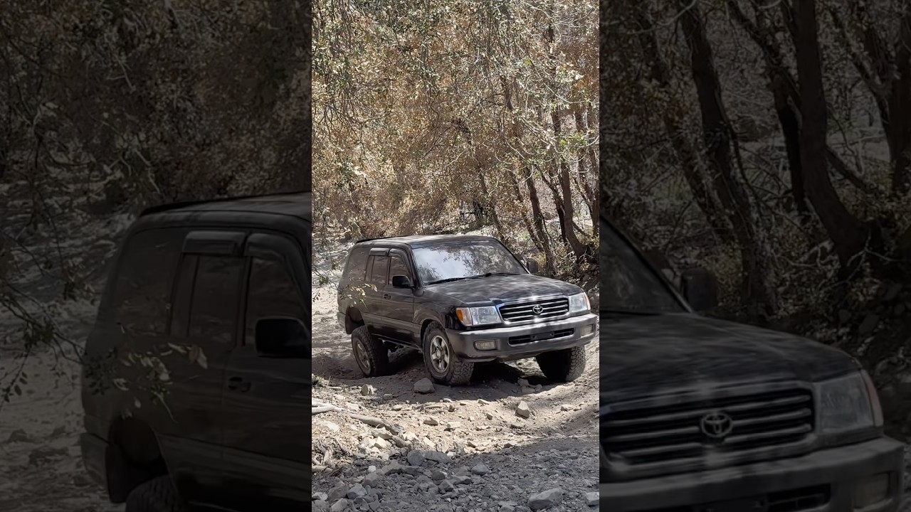 Stock 1999 Land Cruiser 100 #offroad #toyotalandcruiser #landcruiser