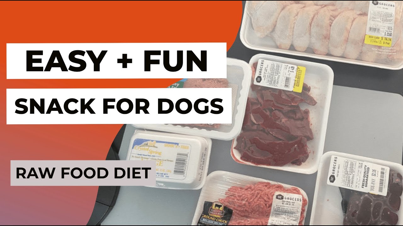 THE BEST Snack for Dogs | PUPPY LOVES IT