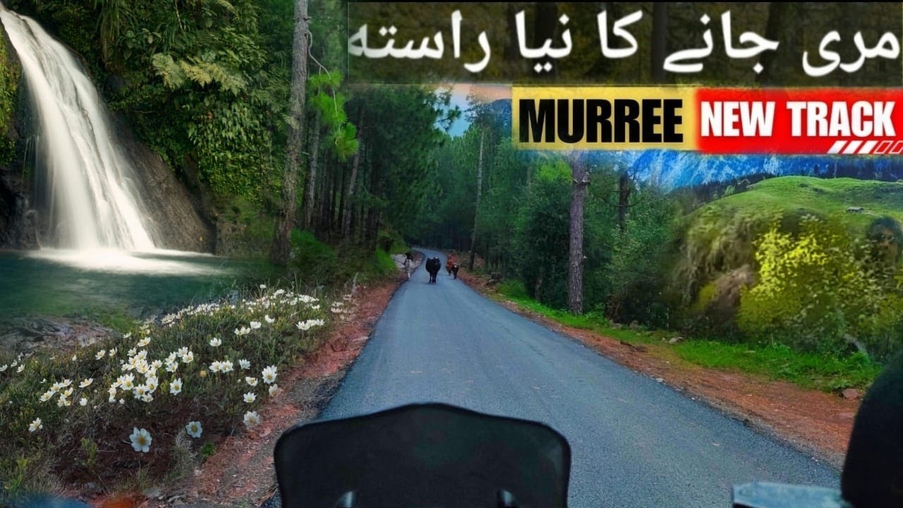 Islamabad to Murree via Angoori Road | Islamabad to Patriata | Murree Mall Road