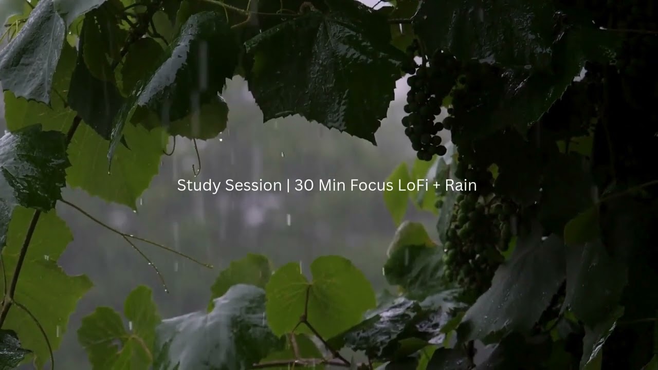 🎧 Study Session | 30 Min LoFi Rain for Deep Focus | No Ads, Just Flow