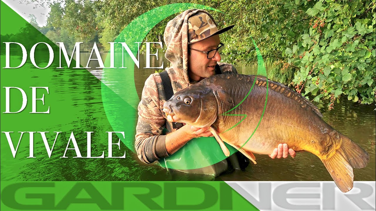 Pêche de la carpe au Domaine de Vivale