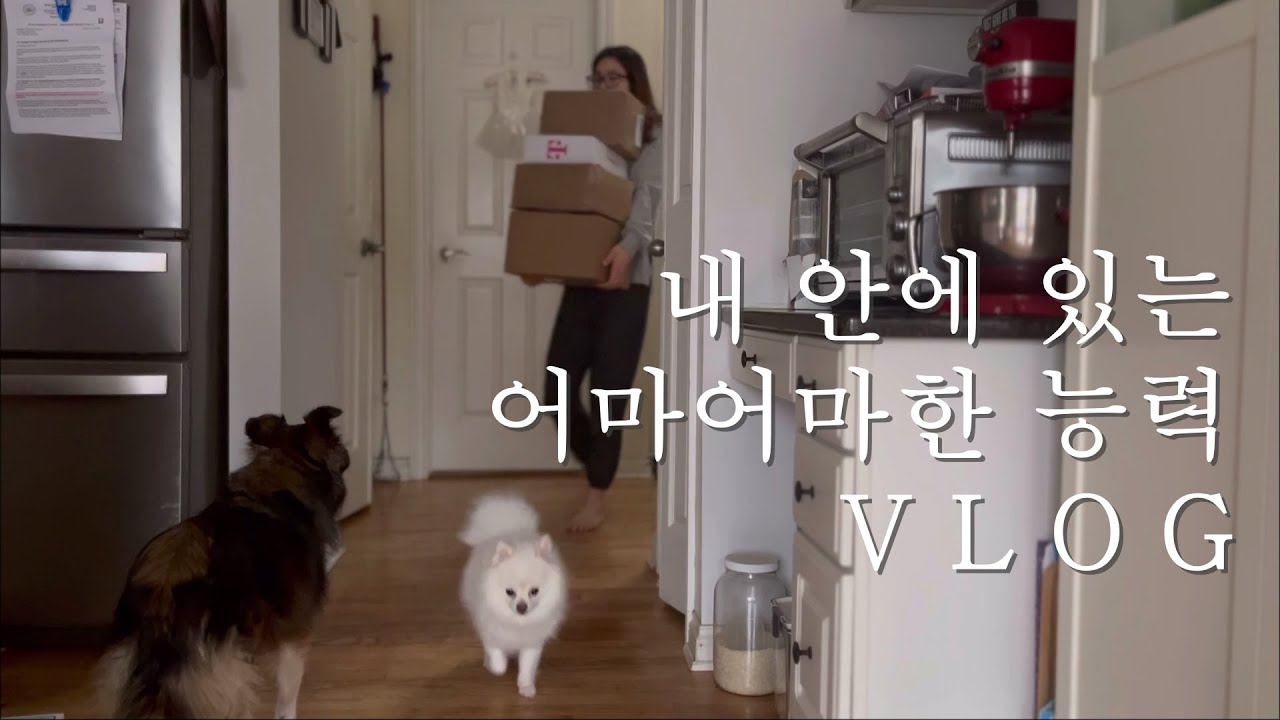 가능한 일이 가치있는 일이 되는 눈속에 갇힌 일상/1월에 구입한 책 소개/명란 바게트 게살마요 샌드위치/ 굴파스타와 케일칩/ 미국시골 Vlog
