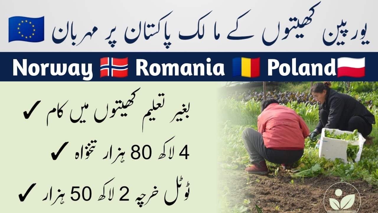 Norway - Poland - Romania || Agriculture Work Visa in 06 Months || Every Visa ||