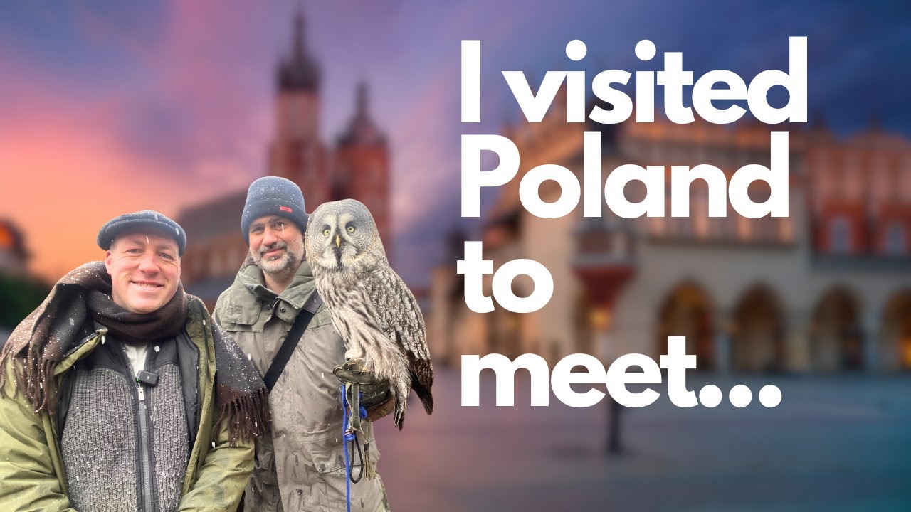 I visited Poland to merge with another falconry business -  We are going international!