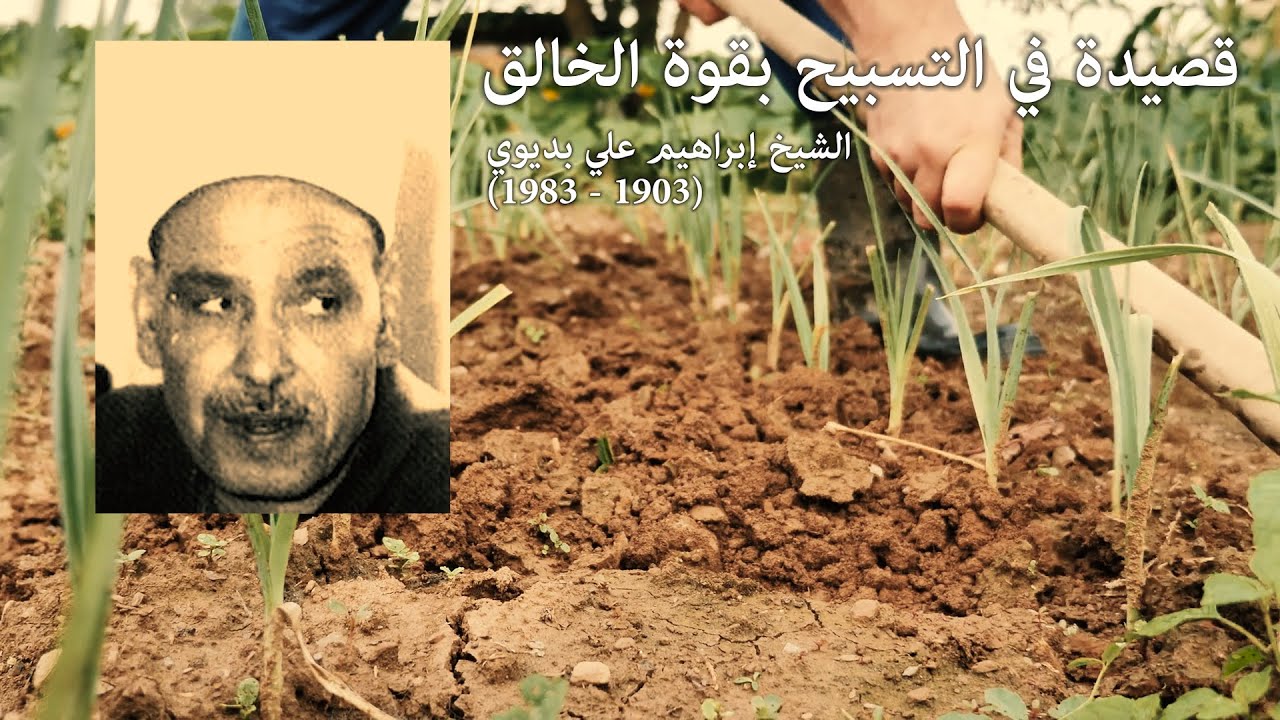 قصيدة في التسبيح بقوة الخالق - الشيخ إبراهيم علي بديوي