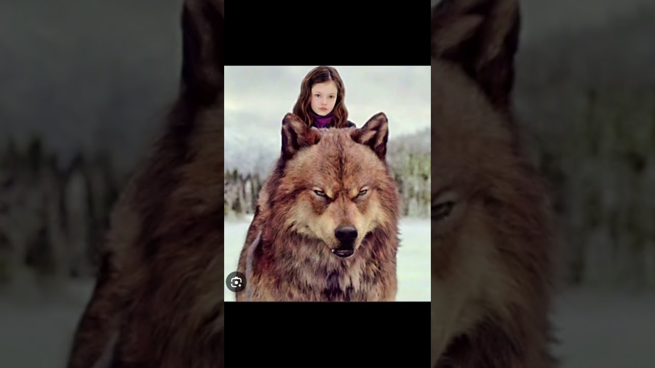 Jacob & Renesmee #twilight #renesmee #jacob