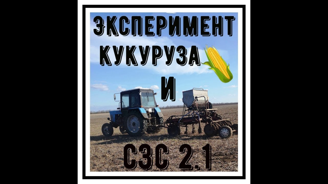 Посев кукурузы сзс 2 1 Эксперимент