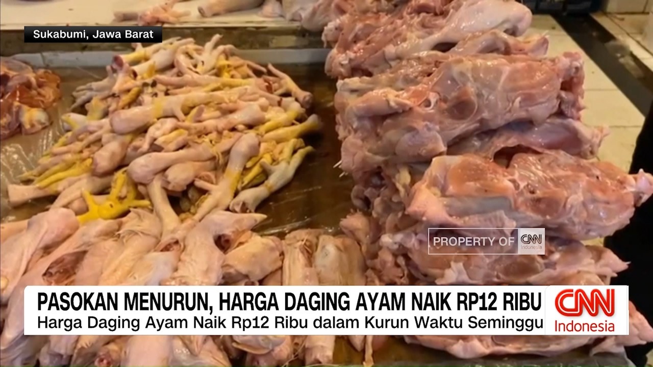 Harga Daging Ayam Meroket di Sejumlah Daerah