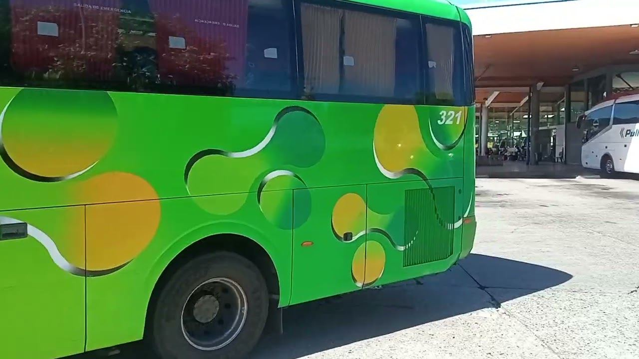 Movimiento de buses en el terminal collao
