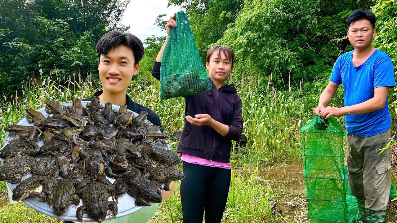 CHỊU KHÓ LÀ CÓ ĂN | MÙA BẮT ẾCH ĐỒNG (Tập 1) - Bùi Văn Trọng