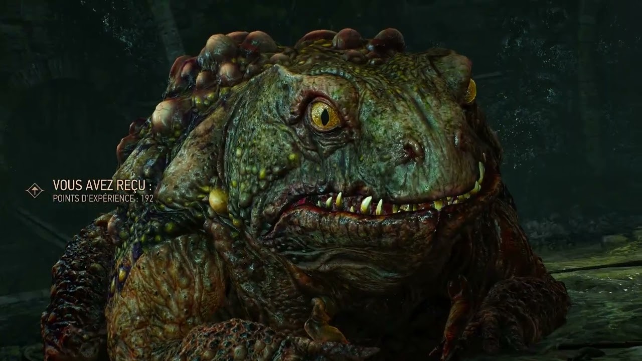 The Witcher 3 Résumé de ma Partie en New Game+ Difficulté Marche De La Mort (2/)