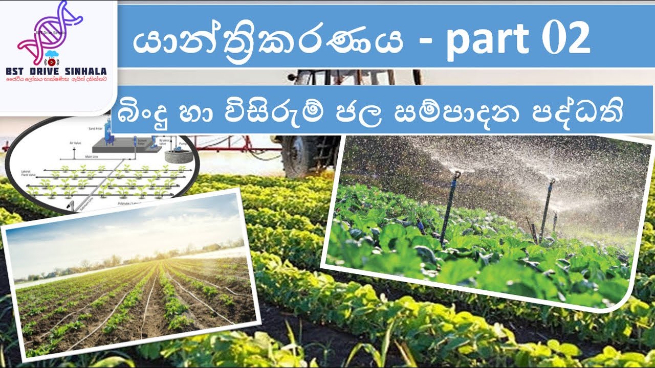යාන්ත්&zwj;රිකරණය | part 02 | Bio system technology | bst lessons sinhala | bst sinhala | bst | 13 grade