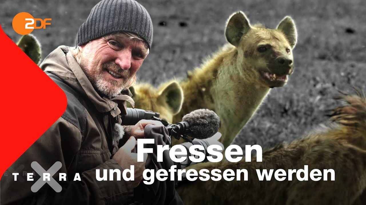Kreislauf des Lebens? | Andreas Kieling | Ganze Folge | Terra X