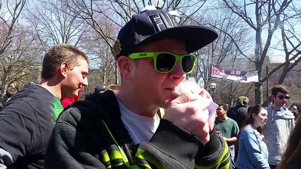 Hash Bash 2017(Speeches, Sights & Sounds) and Monroe Street Fair