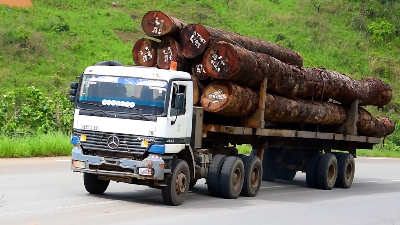 LES DEFIS DE L'EXPORTATION DES GRUMES