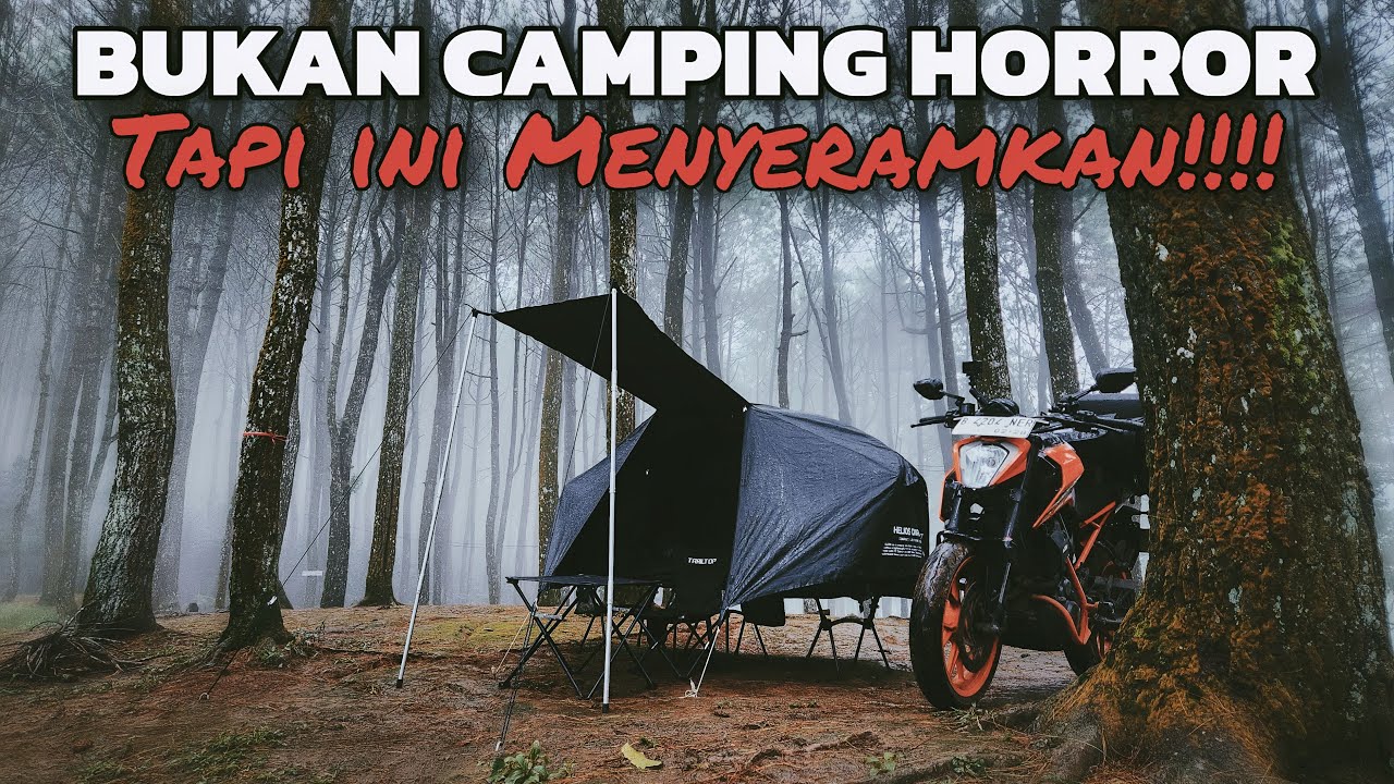 SOLO CAMPING DI HUTAN YANG GELAP DAN SEPI  | MENCOBA MENANGKAP PENAMPAKAN YANG MENYERAMKAN