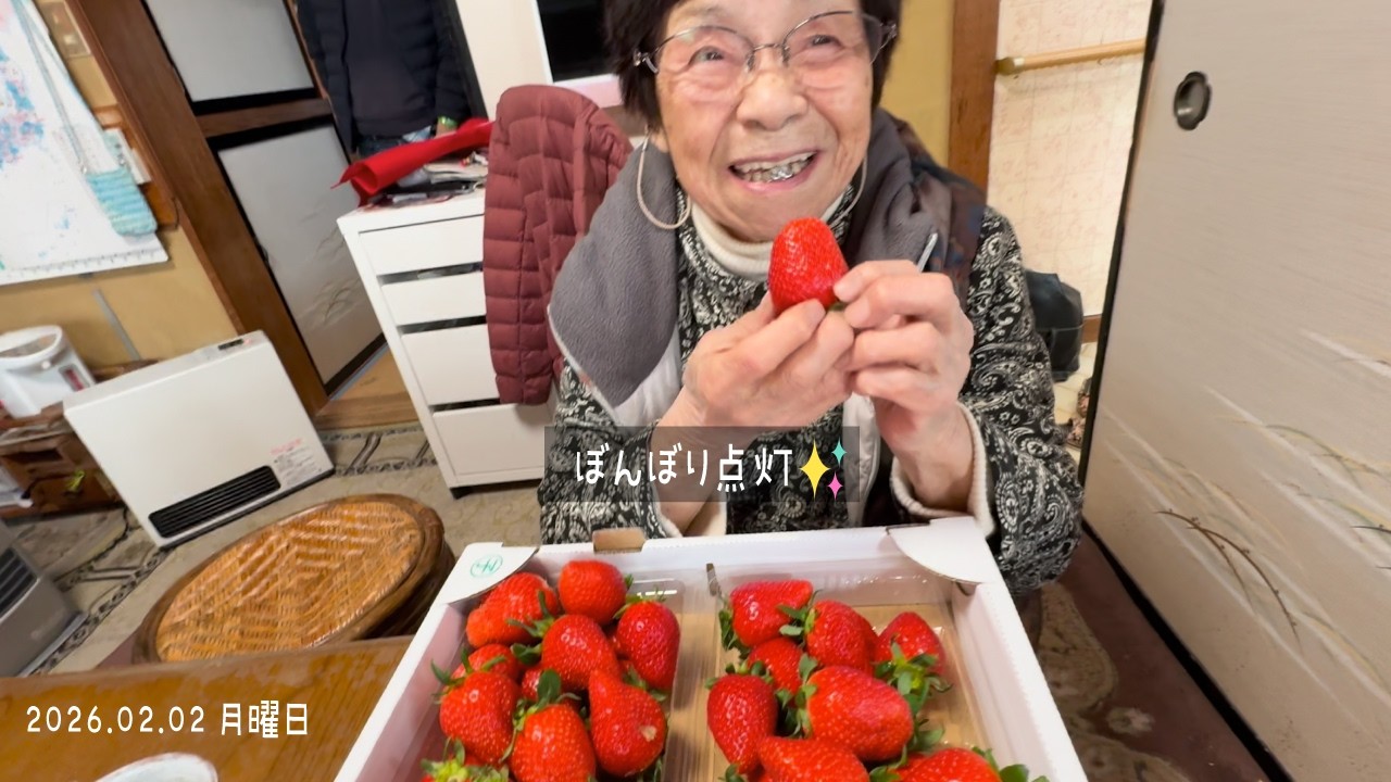 95歳おばあちゃんの一日｜朝ご飯・登利平鳥めし・おひな様ぼんぼり挑戦・孫のSLルームツアー