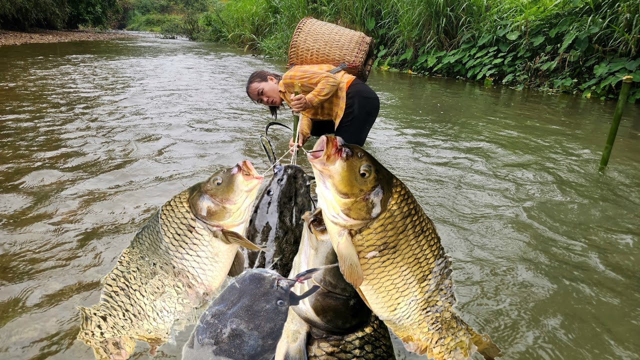 Traditional fishing techniques. The girl caught a huge school of carp - a successful fishing trip.
