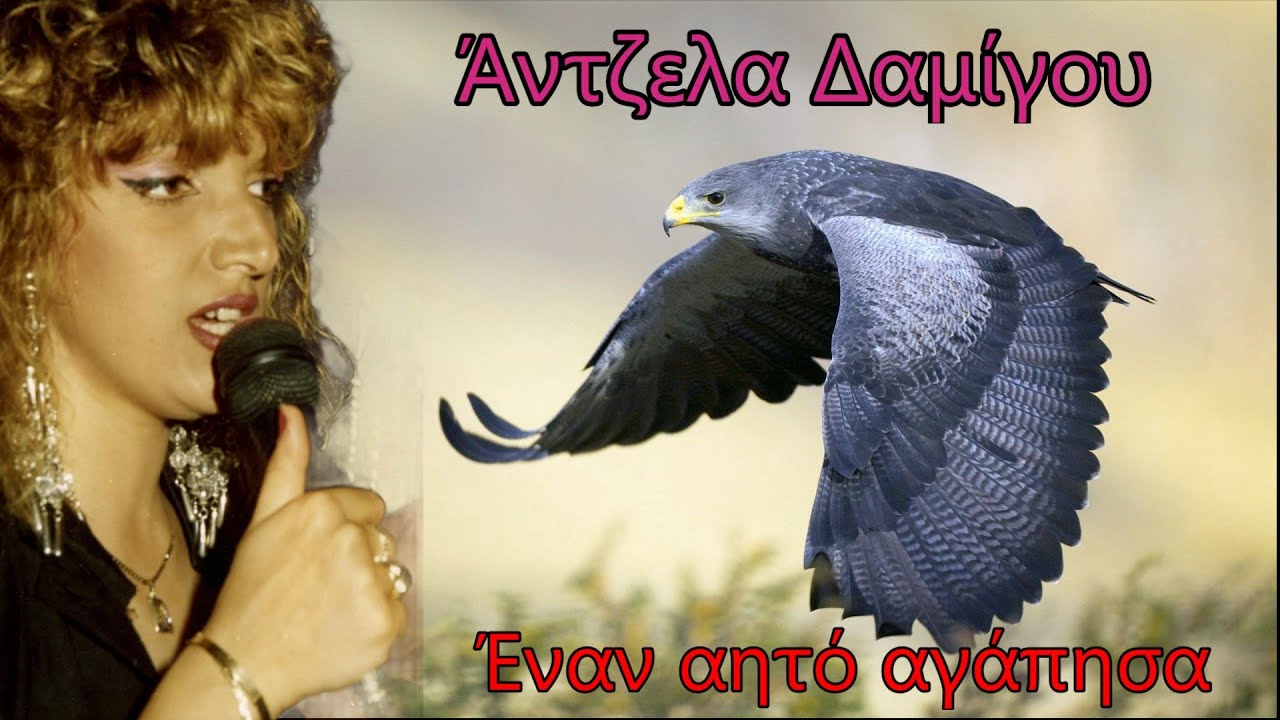 Έναν αητό αγάπησα - Άντζελα Δαμίγου