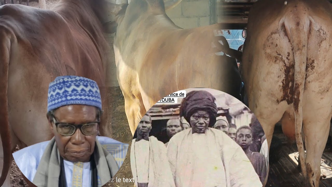 Diébëlé Adiya Ndogou Wakeur Mame Moussa Sall Khelly Si Serigne Amdy Khady Fall 