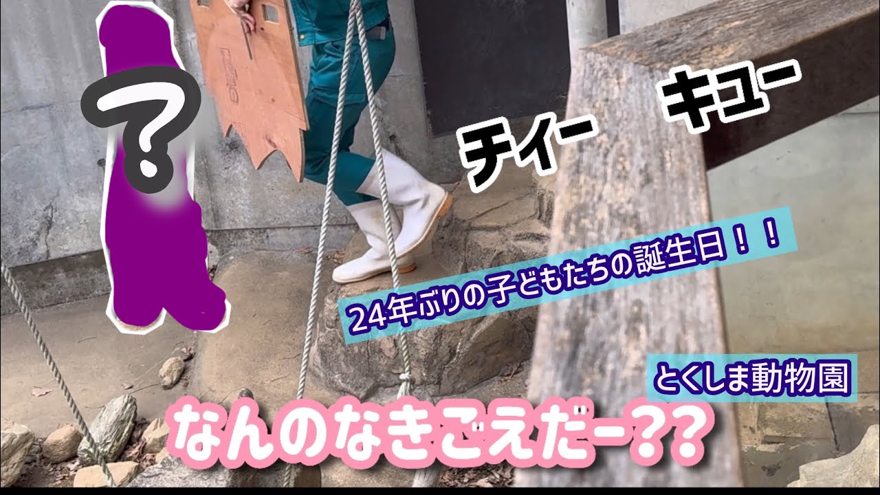 とくしま動物園で例の子どもたちに会ってきた！！