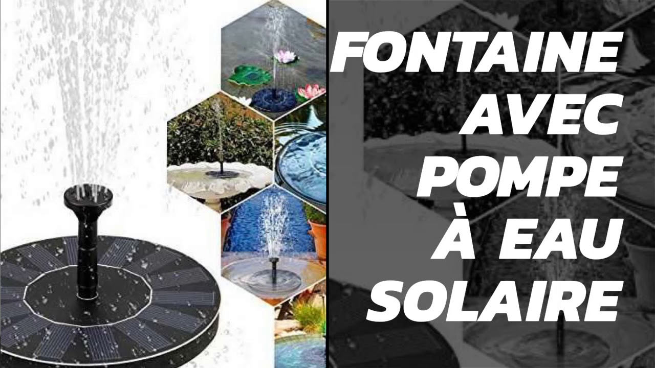 Fontaine Solaire ZealBea Focus pour Bains d’Oiseaux, bassins, etc...avec pompe à eau solaire