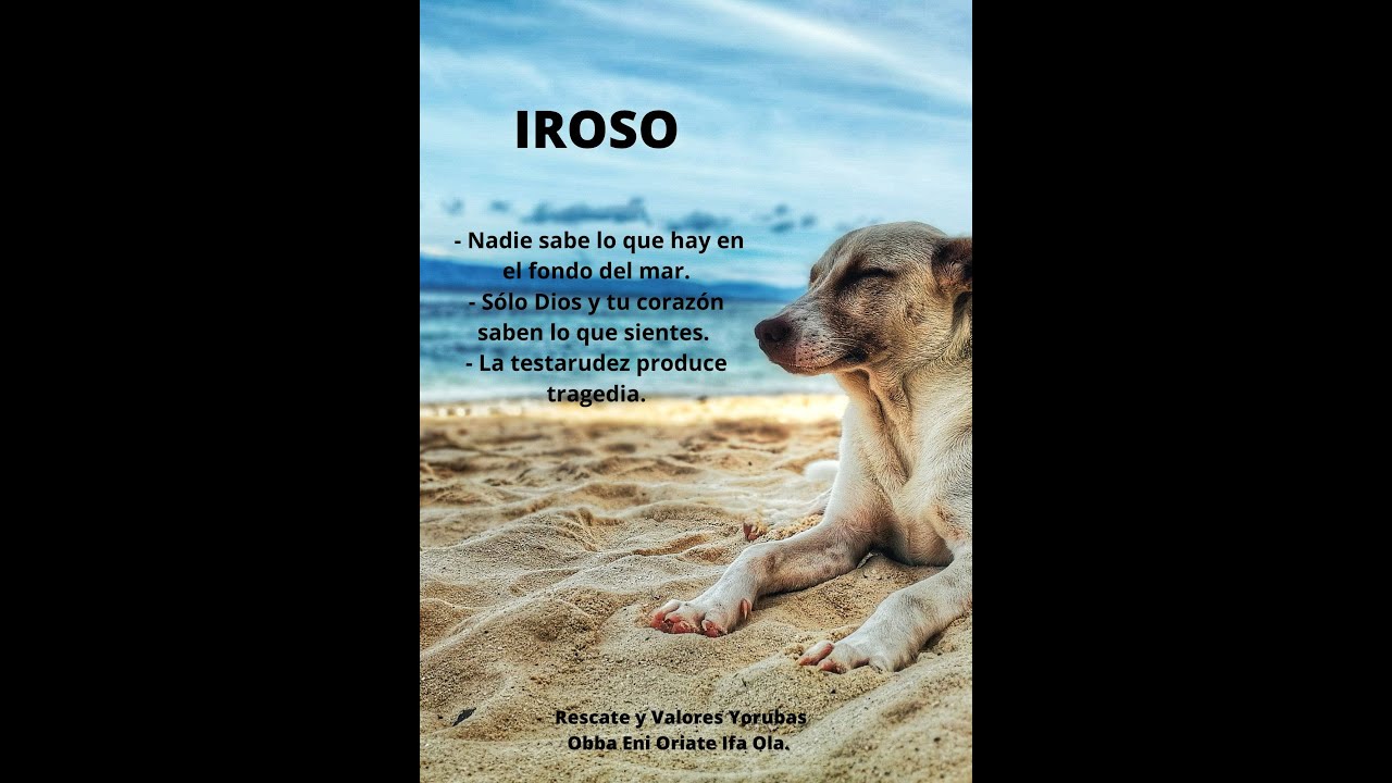 Aprendiendo del Oddun del Dilogun (4 Iroso)