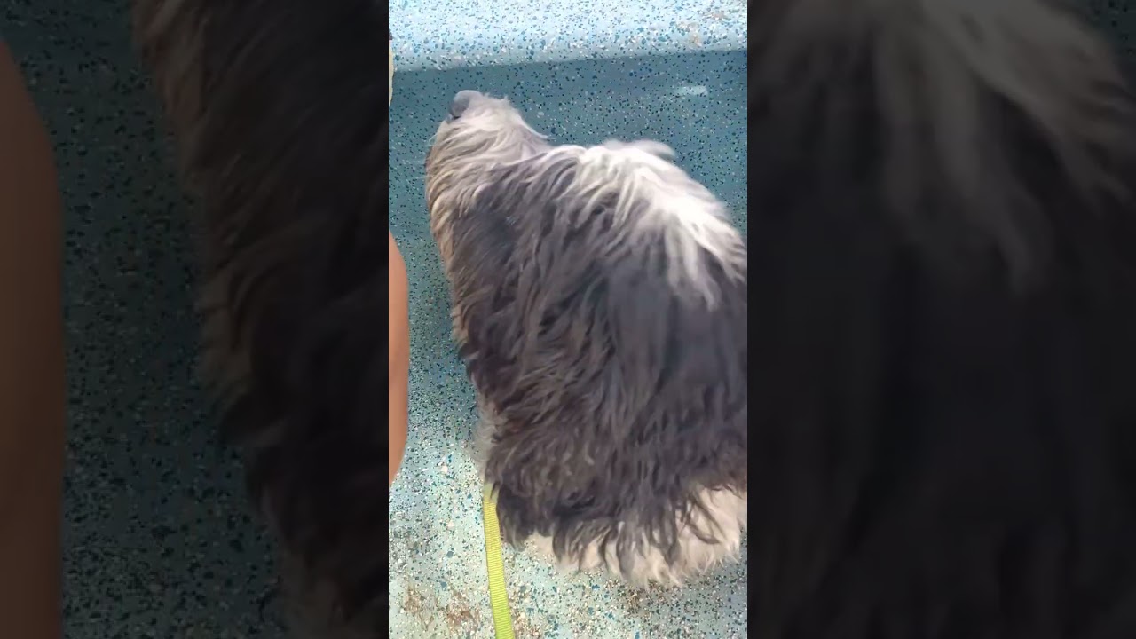 Chacahua increíble 