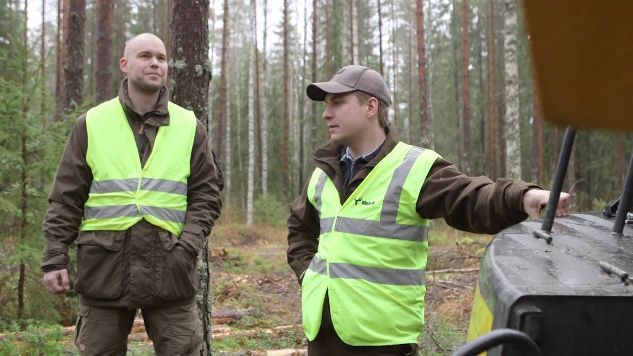 Metsätalous - Hämeen ammattikorkeakoulu