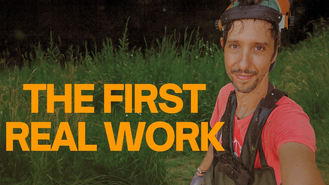 #3   Cutting Back the Years of Abandonment (Offgrid Life in Portugal)