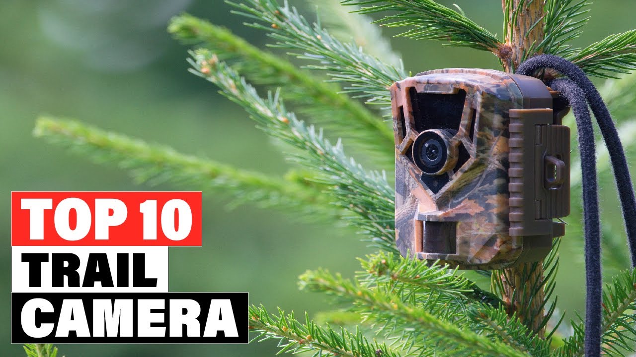 Top 10 Best Trail Camera On Amazon