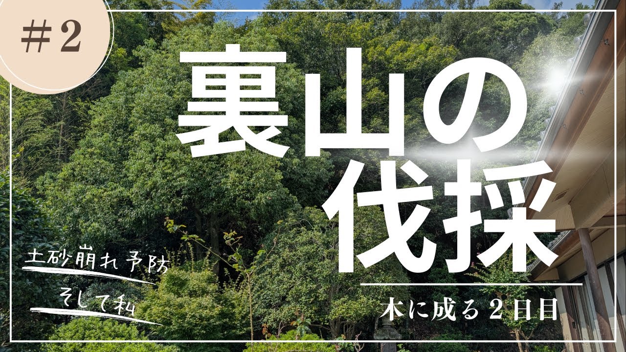 裏山の伐採 #2