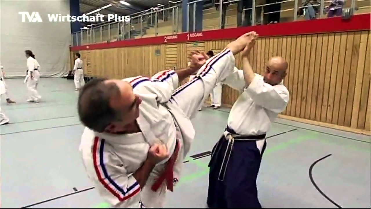 Bericht Karate Seminar mit Dominique Valera und Sensei Siamak Montazeri
