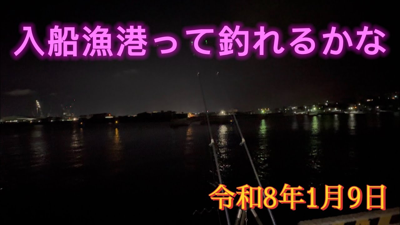 入船漁港って釣れるかな