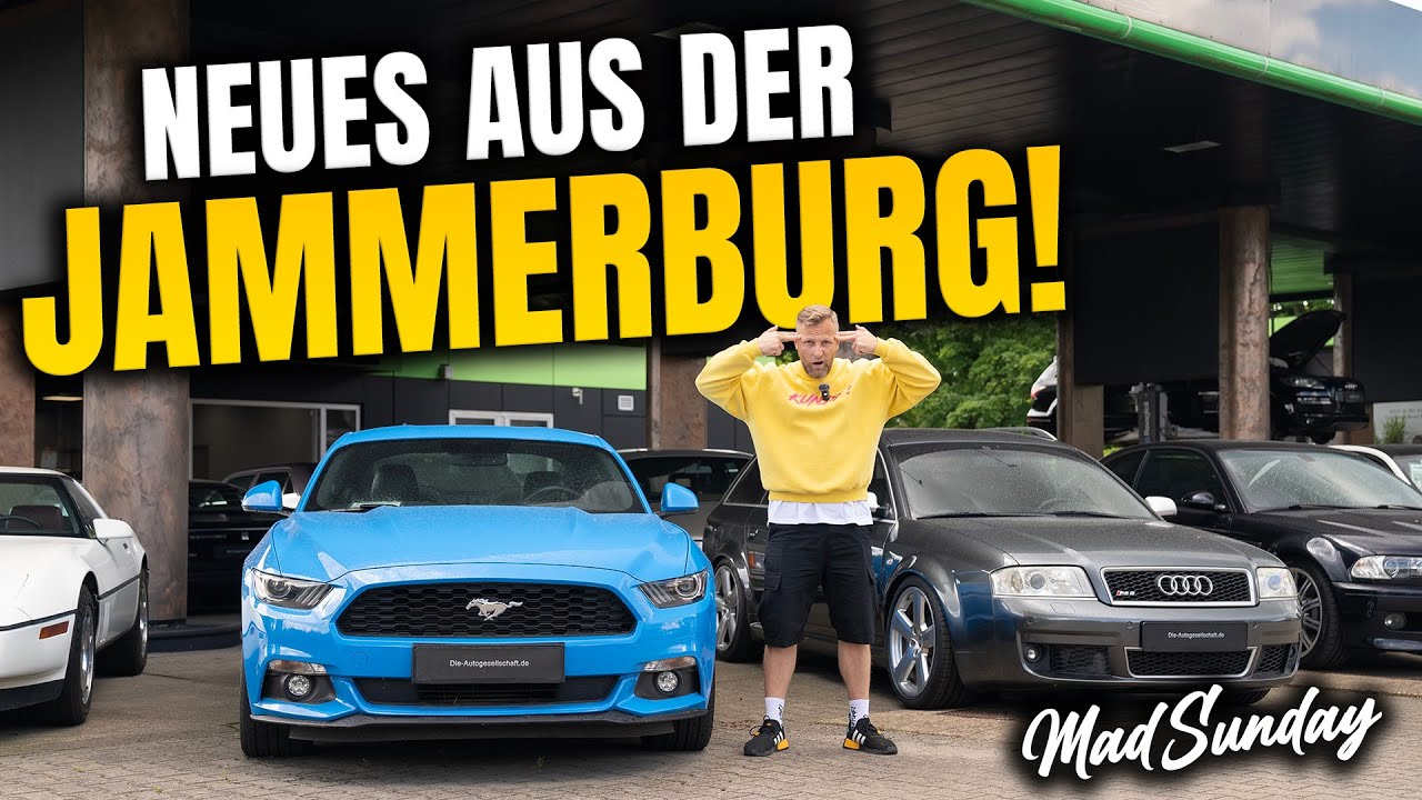 Wir alle baden das aus! Druck erzeugt Gegendruck! Die knallharte Realit&auml;t! | MadSunday + Hofrunde
