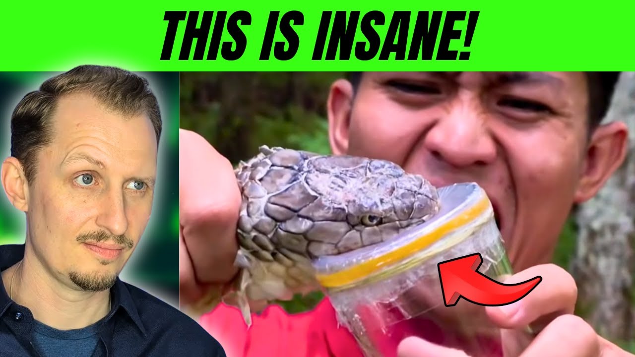 Zoologist Reacts to TERRIBLE Venomous Snake TikToks!
