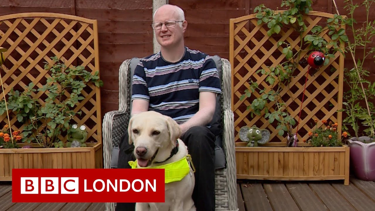 Waiting for a guide dog