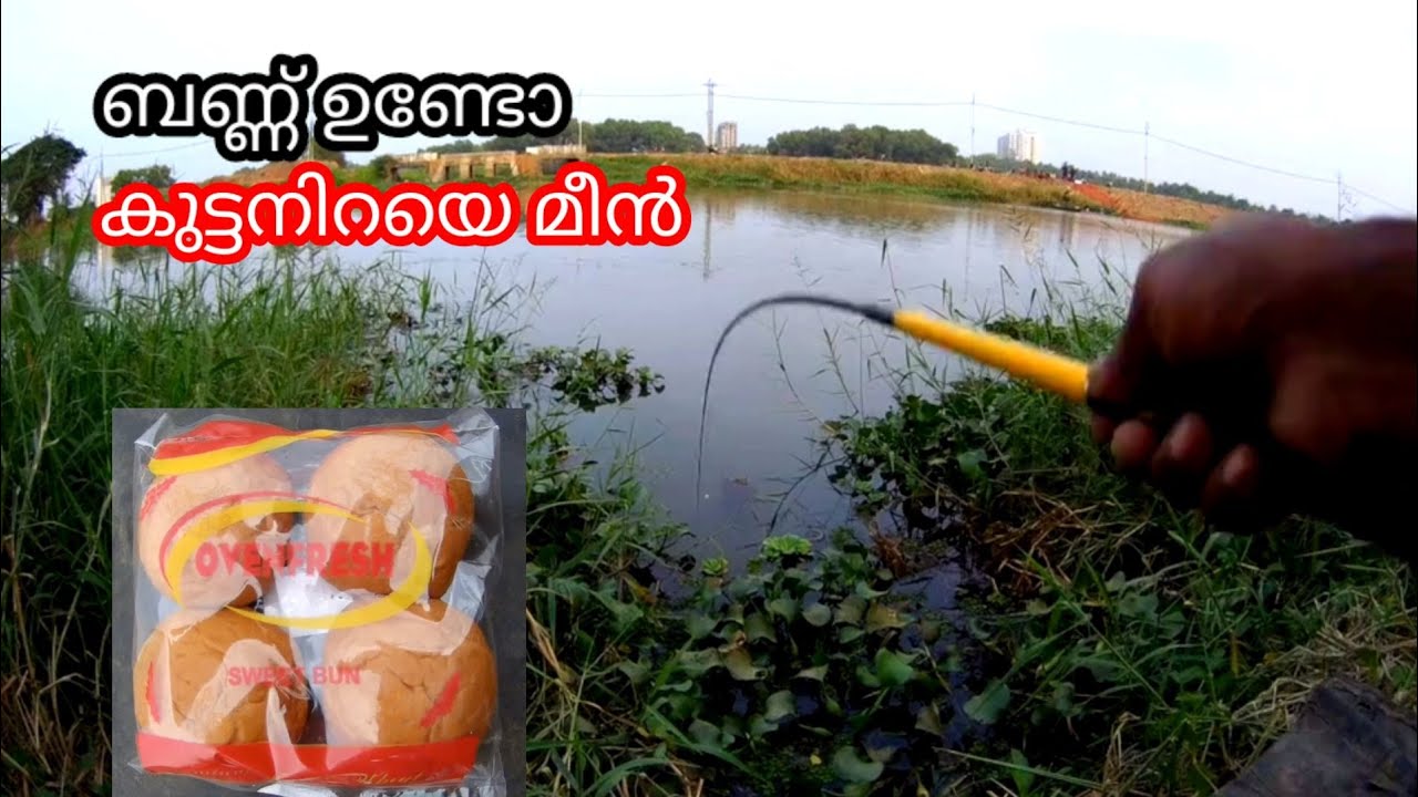 Best fishing baite -- Fishing video -- Kerala fishing video
